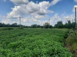 Продаж ділянки 24,6 сот. в с.Двірець поряд з озером. фото 4 Продаж ділянки 24,6 сот. в с.Двірець поряд з озером. фото 4