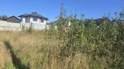 Ділянка на початку Іванівки з світлом 10кВт фото 5 Ділянка на початку Іванівки з світлом 10кВт фото 5