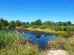 Продається ділянка Житомирська, Житомир, Смоківка, П.Мирного/Світинська фото 2 Продається ділянка Житомирська, Житомир, Смоківка, П.Мирного/Світинська фото 2