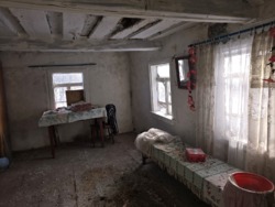 Ділянка 60 соток з старою хатинкою с.Катеринівка фото 8 Ділянка 60 соток з старою хатинкою с.Катеринівка фото 8