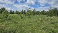 Продаж ділянки 15 соток с.Іванівка фото 2 Продаж ділянки 15 соток с.Іванівка фото 2