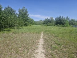 Продаж ділянки с.Тетерівка, крайня до річки фото 7 Продаж ділянки с.Тетерівка, крайня до річки фото 7