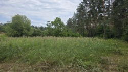 Продаж ділянки через дорогу від лісу, Слобода-Селець фото 2 Продаж ділянки через дорогу від лісу, Слобода-Селець фото 2