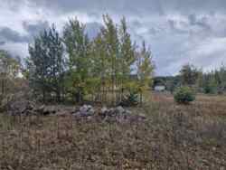 Продаж фасадної ділянки15 сот в с. Оліївка. (26132315) фото 2 Продаж фасадної ділянки15 сот в с. Оліївка. (26132315) фото 2