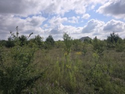 Продаж ділянки аеропорт, дорпога на Авіатік (2698337) фото 4 Продаж ділянки аеропорт, дорпога на Авіатік (2698337) фото 4