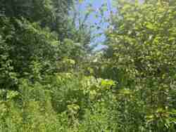 Фасадна ділянка на Вересівський Шлях фото 6 Фасадна ділянка на Вересівський Шлях фото 6