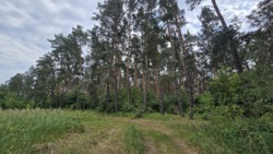 Продаж ділянки через дорогу від лісу, Слобода-Селець фото 3 Продаж ділянки через дорогу від лісу, Слобода-Селець фото 3