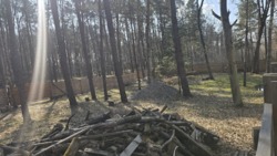 ĳ����� 20 ����� � ������� �� ������ ������� ��� ���� 3