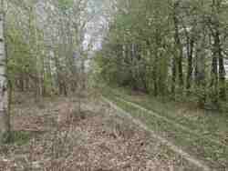 Ділянка 8 сот. Хінчанка/Параджанова фото 4 Ділянка 8 сот. Хінчанка/Параджанова фото 4