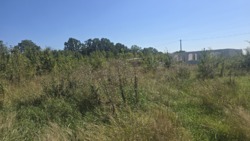 Ділянка на початку Іванівки з світлом 10кВт фото 3 Ділянка на початку Іванівки з світлом 10кВт фото 3