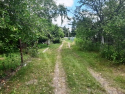 Продається ділянка Житомирська, Житомирський, Новогуйвинське, Дачне-2 фото 2 Продається ділянка Житомирська, Житомирський, Новогуйвинське, Дачне-2 фото 2