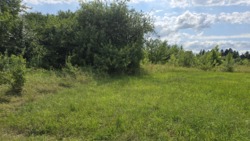 Продаж ділянки с.Високий Камінь, Коростишівського району фото 7 Продаж ділянки с.Високий Камінь, Коростишівського району фото 7