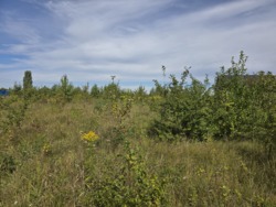 Продаж ділянки 6,3 сот. аеропорт, вул.Смоківська (26144902) фото 3 Продаж ділянки 6,3 сот. аеропорт, вул.Смоківська (26144902) фото 3