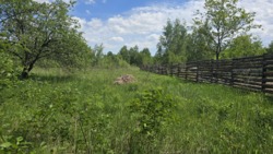 Продаж ділянки 10 соток, Соколовський масив 'Мічуріна' фото 1 Продаж ділянки 10 соток, Соколовський масив 'Мічуріна' фото 1