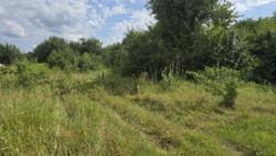 Продаж ділянки с.Високий Камінь, Коростишівського району фото 6 Продаж ділянки с.Високий Камінь, Коростишівського району фото 6