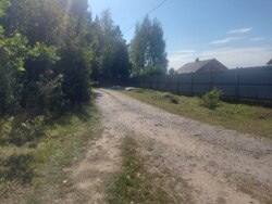 Ділянка 25 сот. Дениші (початок) фото 1 Ділянка 25 сот. Дениші (початок) фото 1