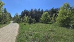 ������ 17,5 ���. �� ��������.(26161757) ���� 4