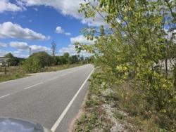 Продаж ділянки 20 сот. Кам'янка (26126076) фото 5 Продаж ділянки 20 сот. Кам'янка (26126076) фото 5