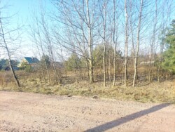 Ділянка 13 соток в с.Пряжів в районі новобудов (2698339) фото 1 Ділянка 13 соток в с.Пряжів в районі новобудов (2698339) фото 1