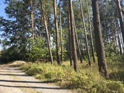 ��������� ������ �����, ������������, ����������� ���� 6