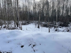 Продається ділянка Незалежності, Пряжів, Житомирський, Житомирська фото 3 Продається ділянка Незалежності, Пряжів, Житомирський, Житомирська фото 3