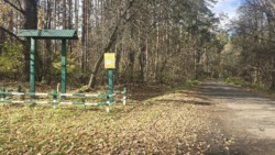 ������ ������ �. ������, ������ �� ��� ���� 6