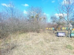   25   . (26105789)  5