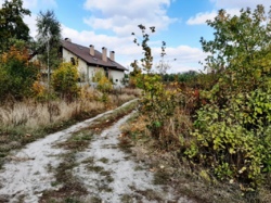 Продається ділянка Житомирська, Житомирський, Гуйва, Масив 3 фото 1 Продається ділянка Житомирська, Житомирський, Гуйва, Масив 3 фото 1