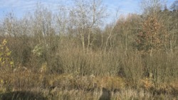 ������ ������� ������ �.�볿��� ���� 9