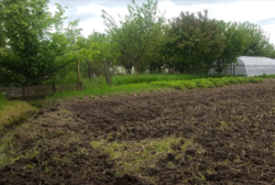 Продається ділянка Житомирська, Житомирський, Іванівка, Островського фото 5 Продається ділянка Житомирська, Житомирський, Іванівка, Островського фото 5