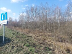   5,36    . (26132609)  5