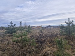 Продаж земельної ділянки 11,4 сот. на Богунії фото 3 Продаж земельної ділянки 11,4 сот. на Богунії фото 3