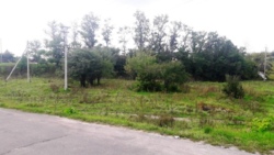 Продається ділянка Житомирська, Житомирський, Станишівка, Незнайка фото 5 Продається ділянка Житомирська, Житомирський, Станишівка, Незнайка фото 5