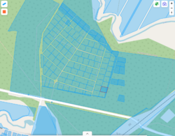 Новогуйвинське 'Любава' в 1 лінії до лісу фото 2 Новогуйвинське 'Любава' в 1 лінії до лісу фото 2