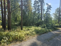 ��������� ������ �����, ������������, ����������� ���� 3