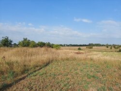 Ділянка 15 сот. під забудову смт.Черняхів фото 7 Ділянка 15 сот. під забудову смт.Черняхів фото 7