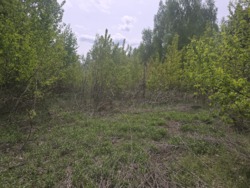 Продаж фасадної ділянки с.Березина фото 7 Продаж фасадної ділянки с.Березина фото 7