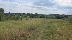 Продаж ділянки 38сот.Слобода Селець фото 2 Продаж ділянки 38сот.Слобода Селець фото 2