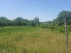 Ділянка на Богунії біля озера фото 4 Ділянка на Богунії біля озера фото 4