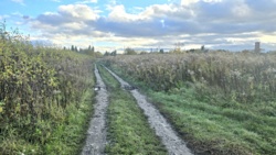 Продаж ділянки, Хутір Хінчанка, новий масив фото 1 Продаж ділянки, Хутір Хінчанка, новий масив фото 1