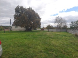 Продається ділянка Житомирська, Житомирський, Пряжів, Партизанський пров. фото 7 Продається ділянка Житомирська, Житомирський, Пряжів, Партизанський пров. фото 7