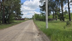 Гарна ділянка с.Кам'янка, дорога на Новоселицю. фото 6 Гарна ділянка с.Кам'янка, дорога на Новоселицю. фото 6