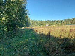 Ділянка 15 сот. с.Дениші фото 5 Ділянка 15 сот. с.Дениші фото 5