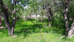 Продається ділянка Житомирська, Житомир, Богунія, Євгена Коновальця/Цілинний пров фото 2 Продається ділянка Житомирська, Житомир, Богунія, Євгена Коновальця/Цілинний пров фото 2