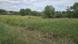 Продаж ділянки через дорогу від лісу, Слобода-Селець фото 6 Продаж ділянки через дорогу від лісу, Слобода-Селець фото 6