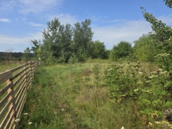 Продаж ділянки 10 соток на Богунії (26144535) фото 13 Продаж ділянки 10 соток на Богунії (26144535) фото 13