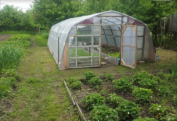 Продається ділянка Житомирська, Житомирський, Іванівка, Островського фото 4 Продається ділянка Житомирська, Житомирський, Іванівка, Островського фото 4