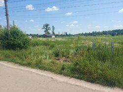 Продається ділянка Житомирська, Житомирський, Млинище, Люби Кучер фото 6 Продається ділянка Житомирська, Житомирський, Млинище, Люби Кучер фото 6