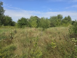 Продаж ділянки 10 соток на Богунії (26144535) фото 14 Продаж ділянки 10 соток на Богунії (26144535) фото 14