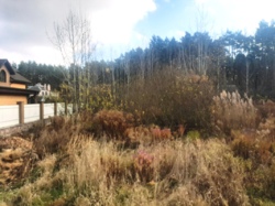 Продається ділянка Житомирська, Житомирський, Довжик, Відродження фото 2 Продається ділянка Житомирська, Житомирський, Довжик, Відродження фото 2